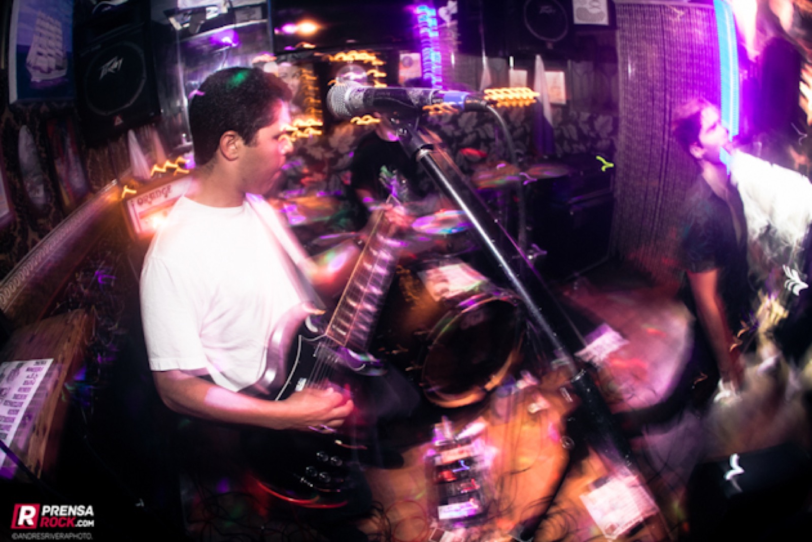 ITALICS live